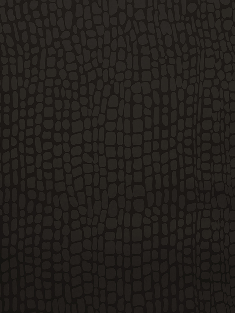 Appia Wallpaper Black Pearl - Greg Natale