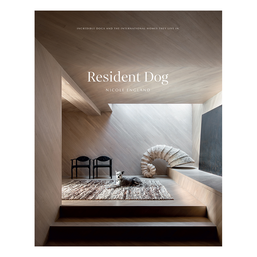 Resident Dog by Nicole England